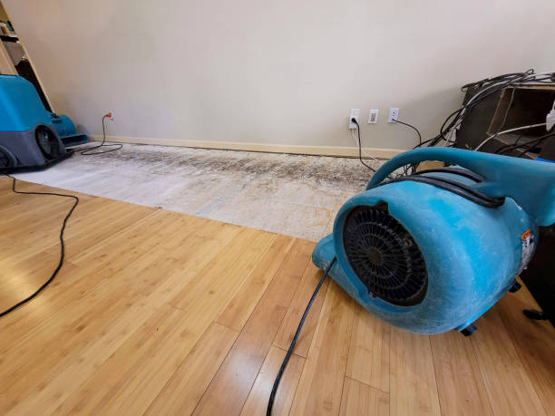 Professional Water Damage Repair technician working in Emmons, MN